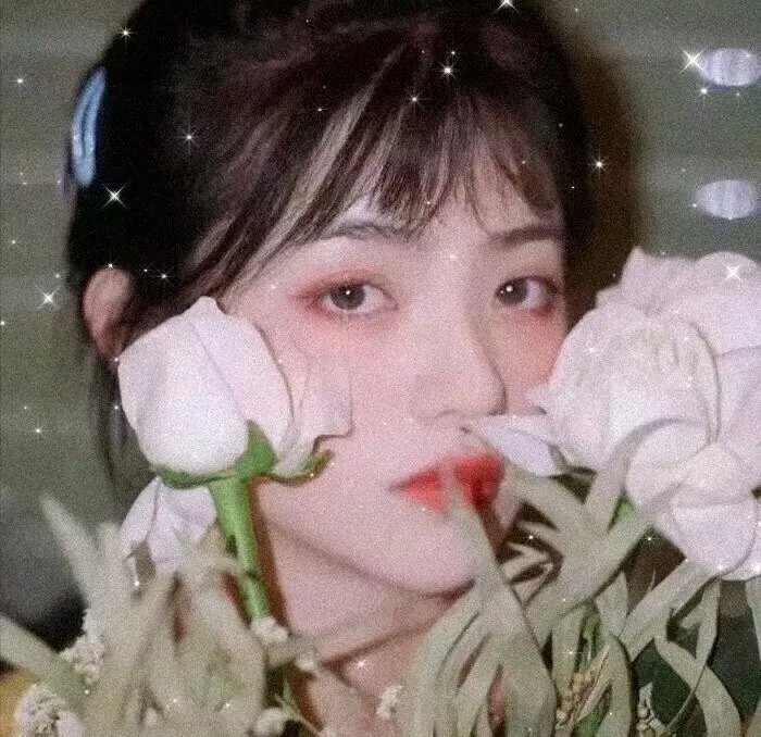 黑暗的反射