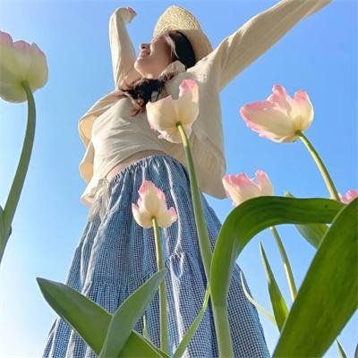 香草的天空